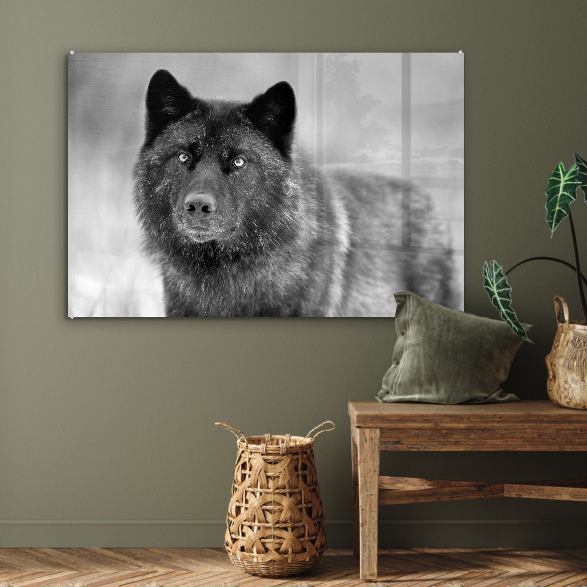 MuchoWow Acrylglasbild Schwarzer Wolf Weiß, Schlafzimmer Acrylglasbilder (1 Schwarz in & St), Wohnzimmer und