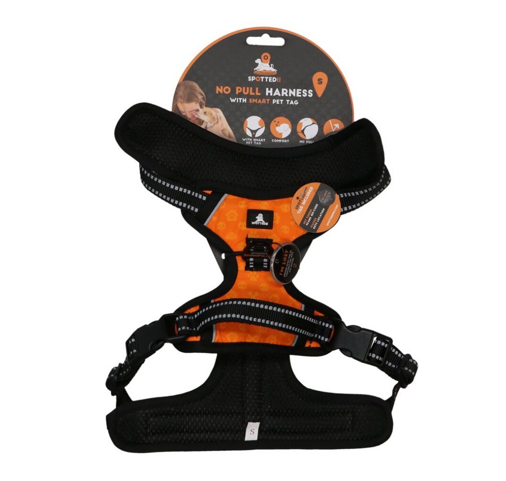 Thumbnail - Spotted! Pro Hundeleine Geschirr Orange S, (Packung)