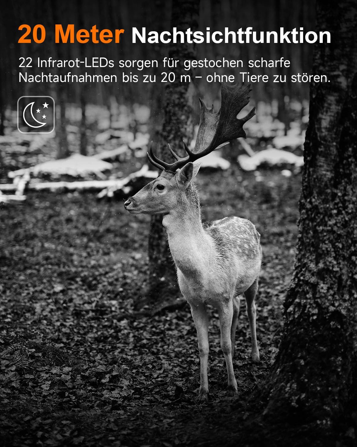 Rollei HD-30 Wildkamera Fernbedienung