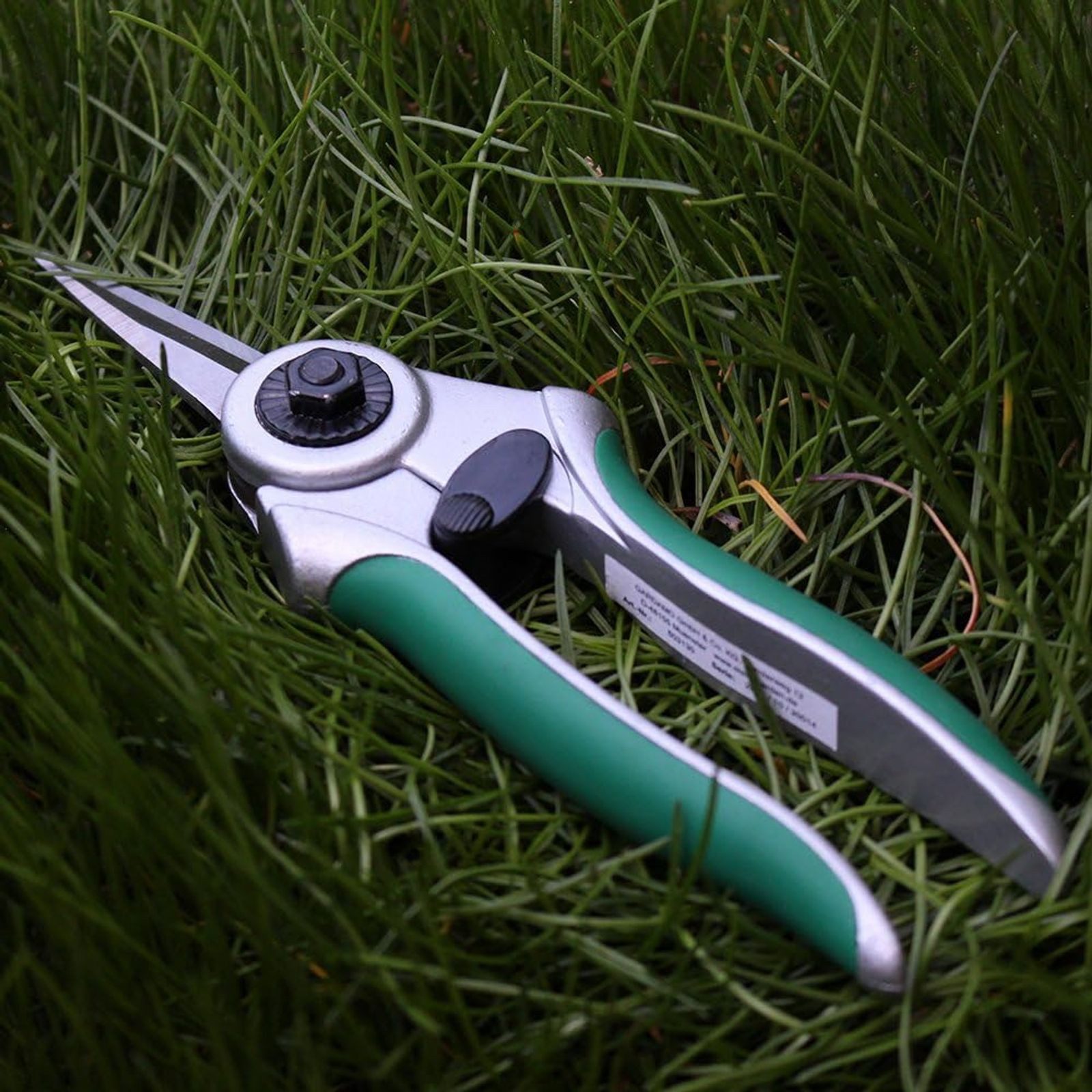 Siena Garden Grasschere Bonsaischere ProfiLine Buchsbaumschere Ernteschere Blumenschere Floris