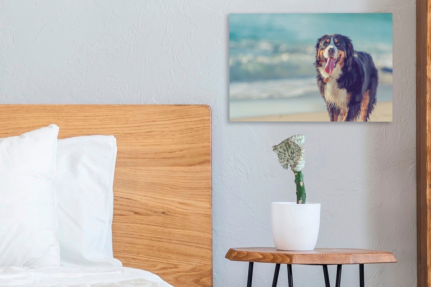 OneMillionCanvasses® Leinwandbild Sennenhund am St), (1 Wanddeko, cm Aufhängefertig, Berner Ein Spaziergang Wandbild 30x20 Strand, Leinwandbilder, beim