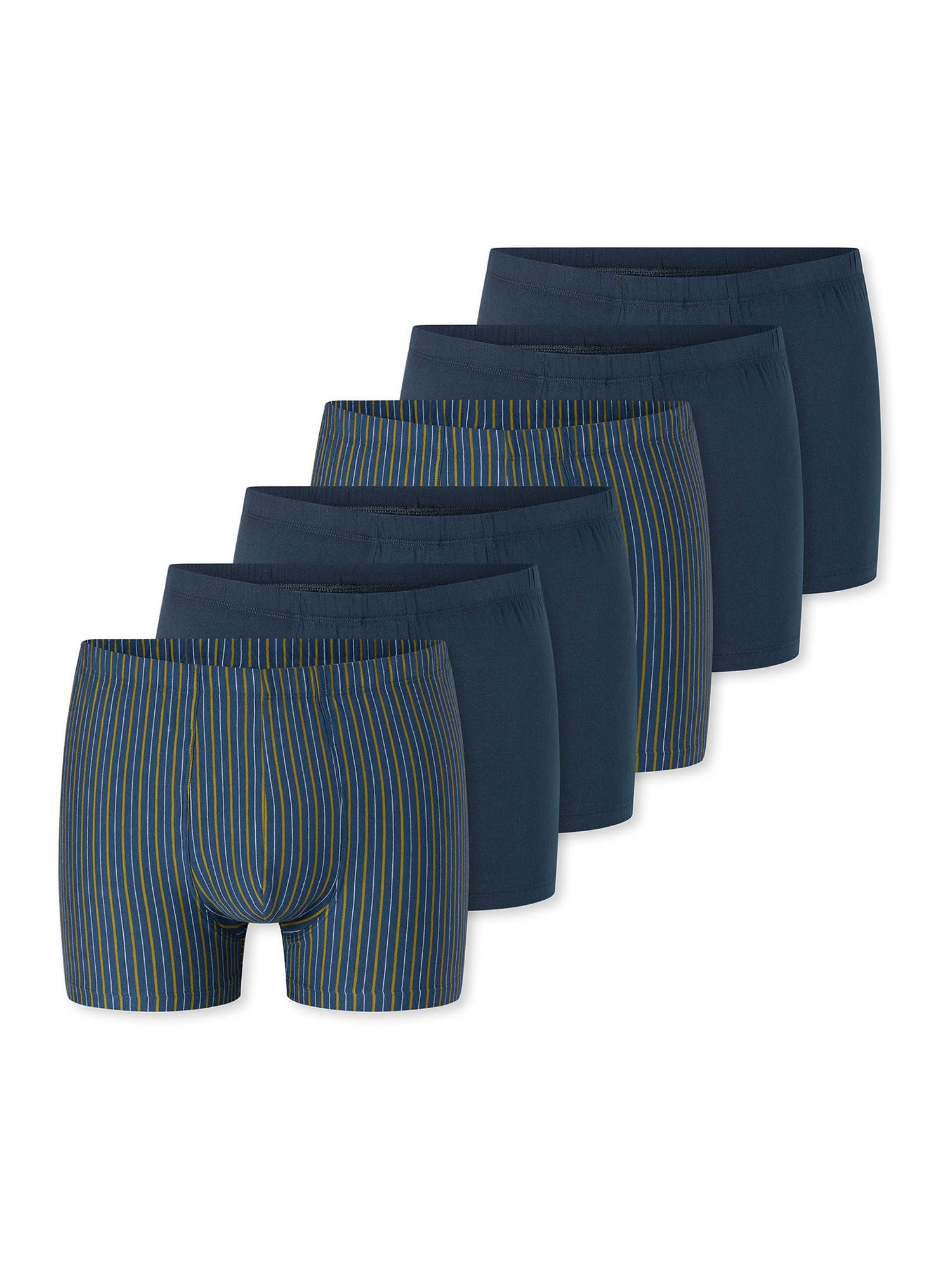 Trunk 955