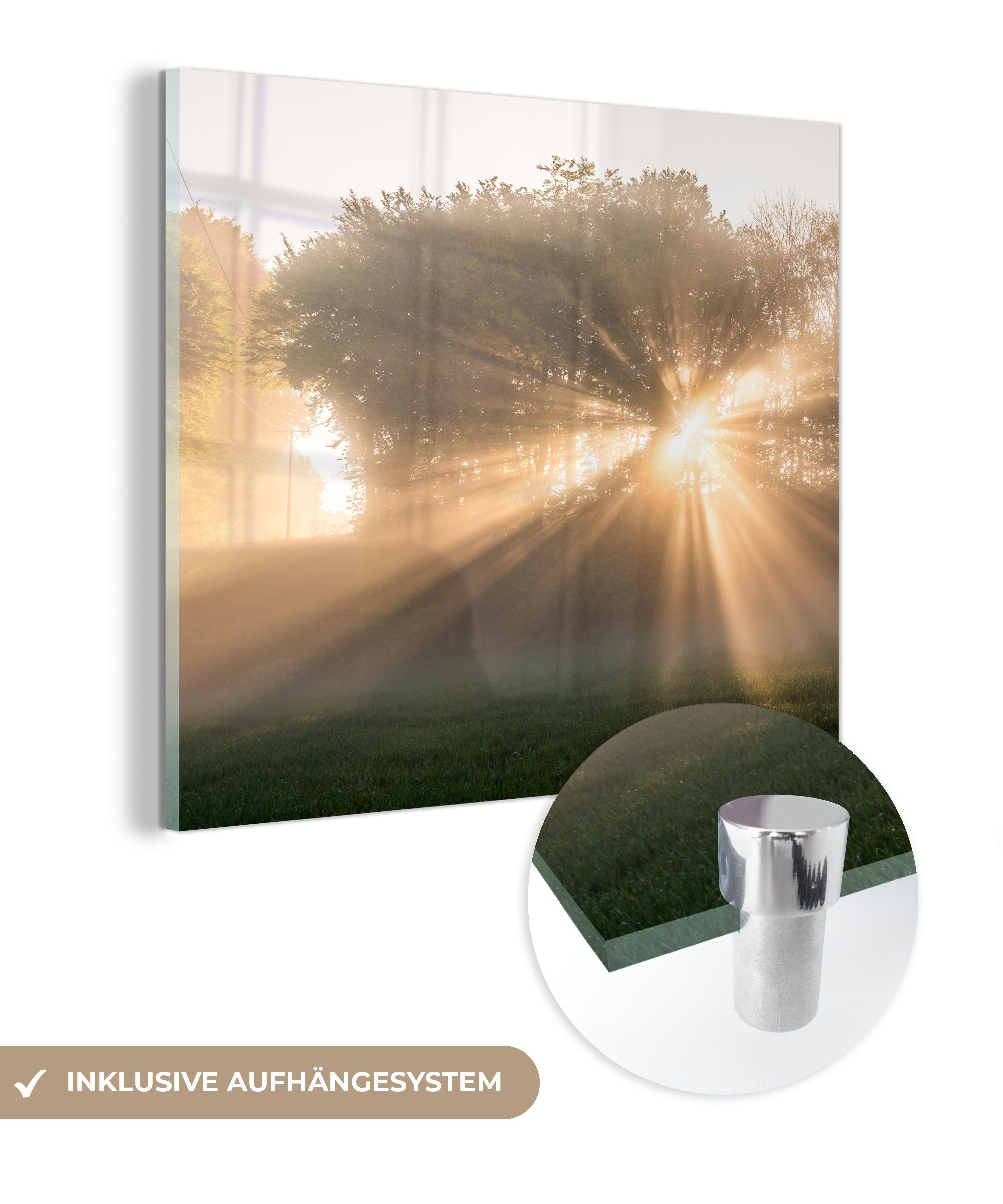 MuchoWow Acrylglasbild Sonnenstrahlen durch den auf Glas im auf Bilder - Morgennebel - Foto Glasbilder Wandbild Söderåsen-Nationalpark, Wanddekoration - (1 Glas St)
