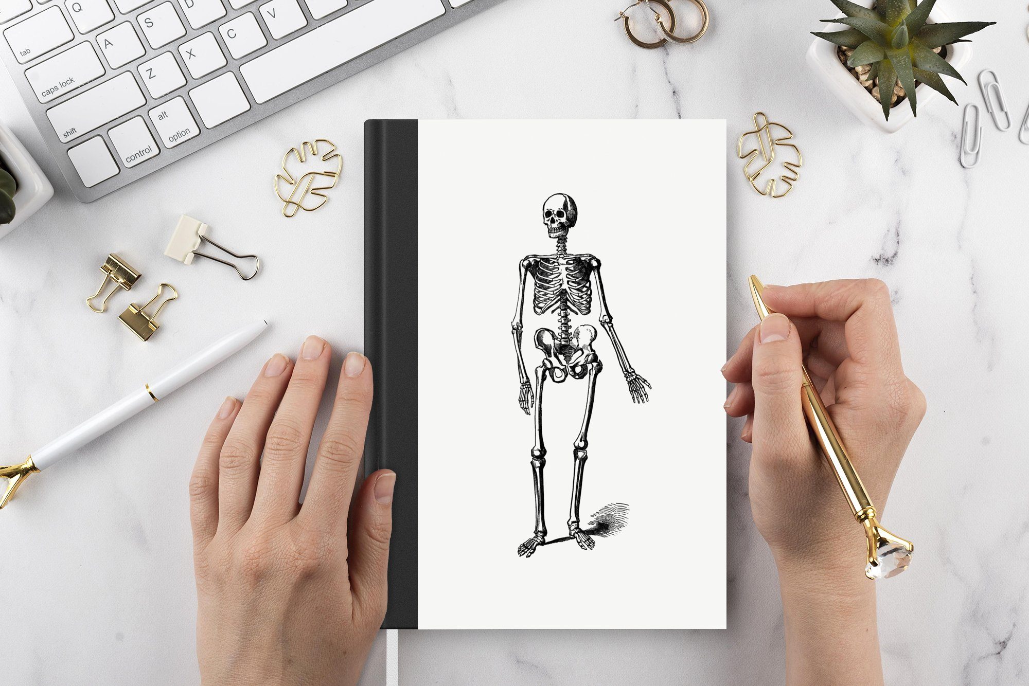 Jahrgang Skelett - Notizbuch Seiten, - Journal, Anatomie, Tagebuch, Merkzettel, A5, MuchoWow Notizheft, 98 Haushaltsbuch