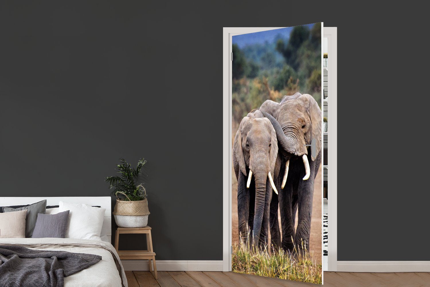 MuchoWow Türtapete St), (1 Elefant Matt, Türaufkleber, Tiere - Tür, für 75x205 Natur, bedruckt, Bäume Fototapete - cm 