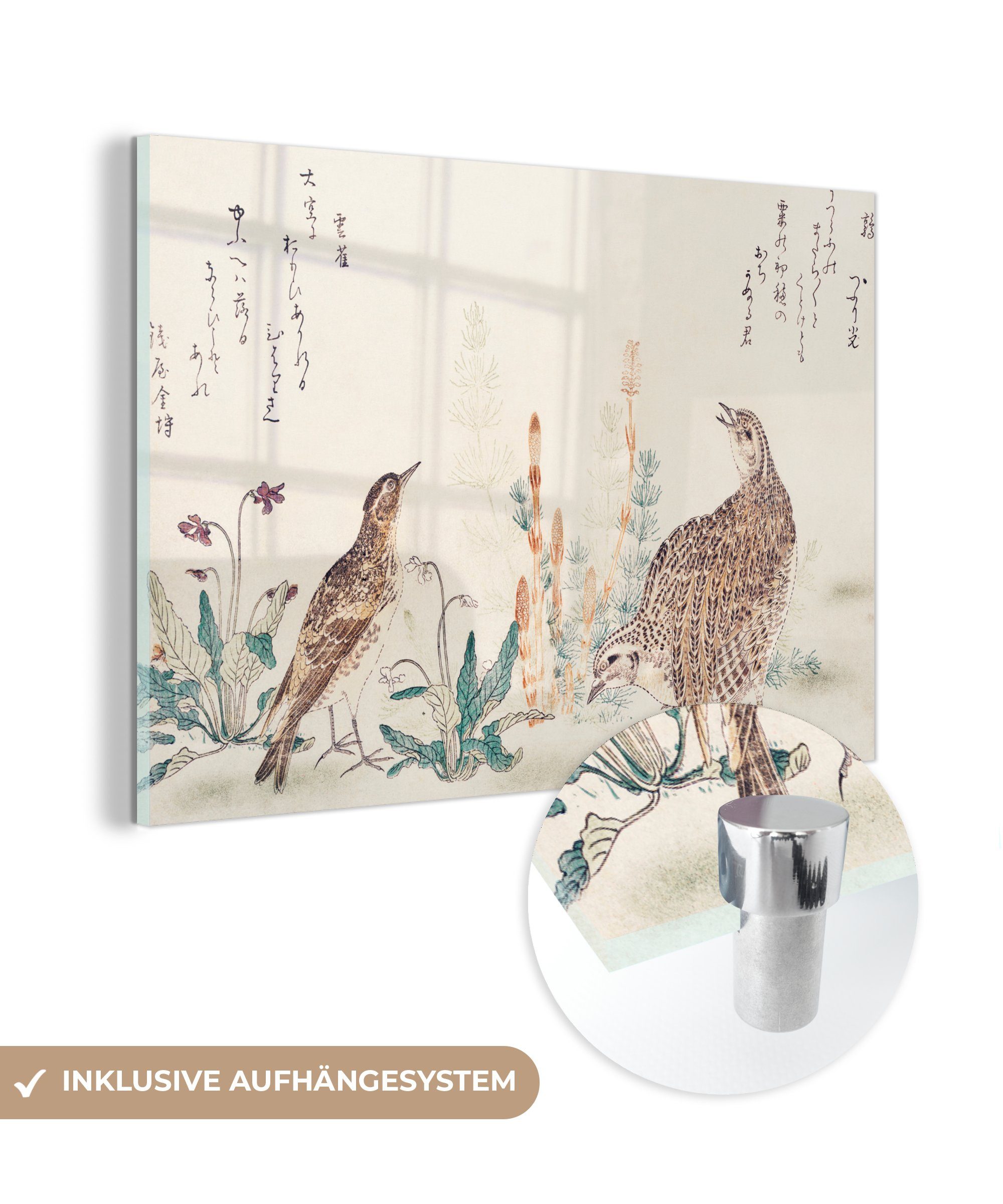 MuchoWow Acrylglasbild Vogel - Japan - Pflanze, (1 St), Acrylglasbilder Wohnzimmer & Schlafzimmer