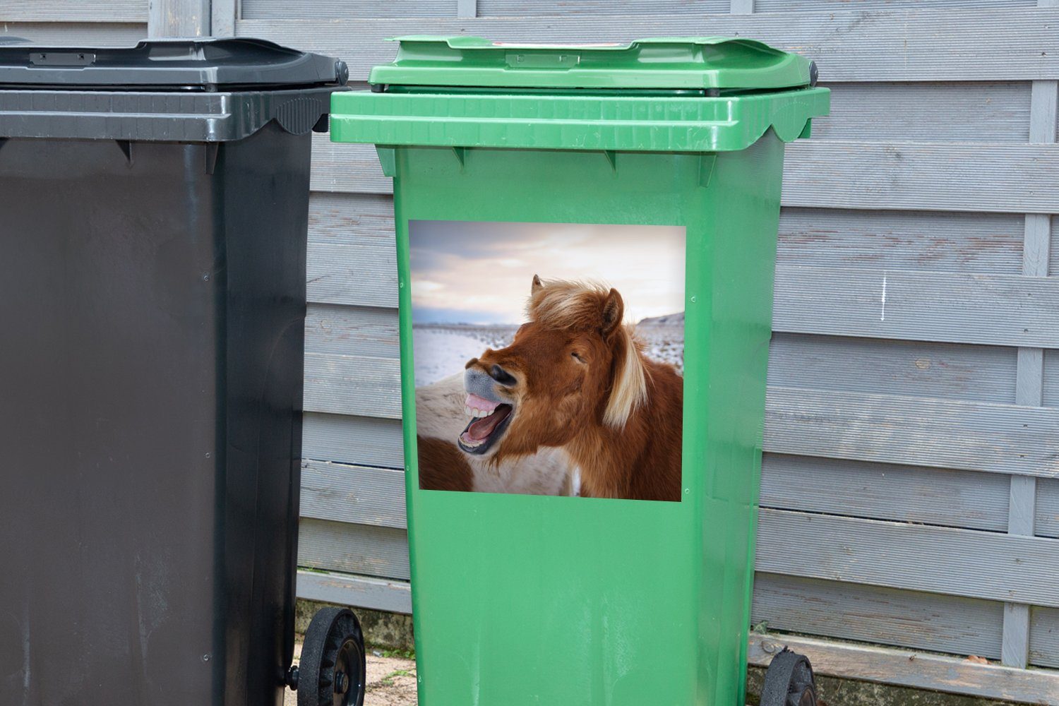 - Mülltonne, Pferd (1 Container, - Braun Strand Abfalbehälter Mülleimer-aufkleber, Sticker, St), Wandsticker MuchoWow