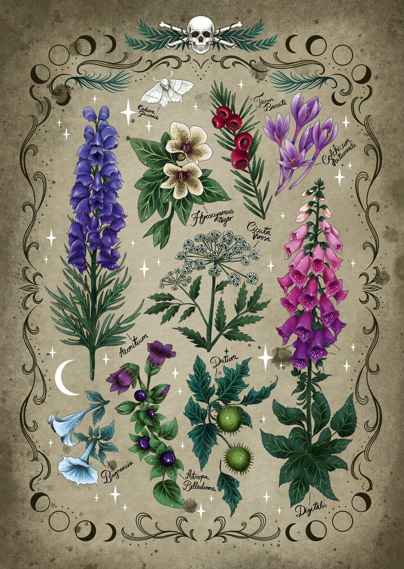 Ravensburger Puzzle Giftpflanzen, 1000 Puzzleteile, Made in Germany günstig online kaufen