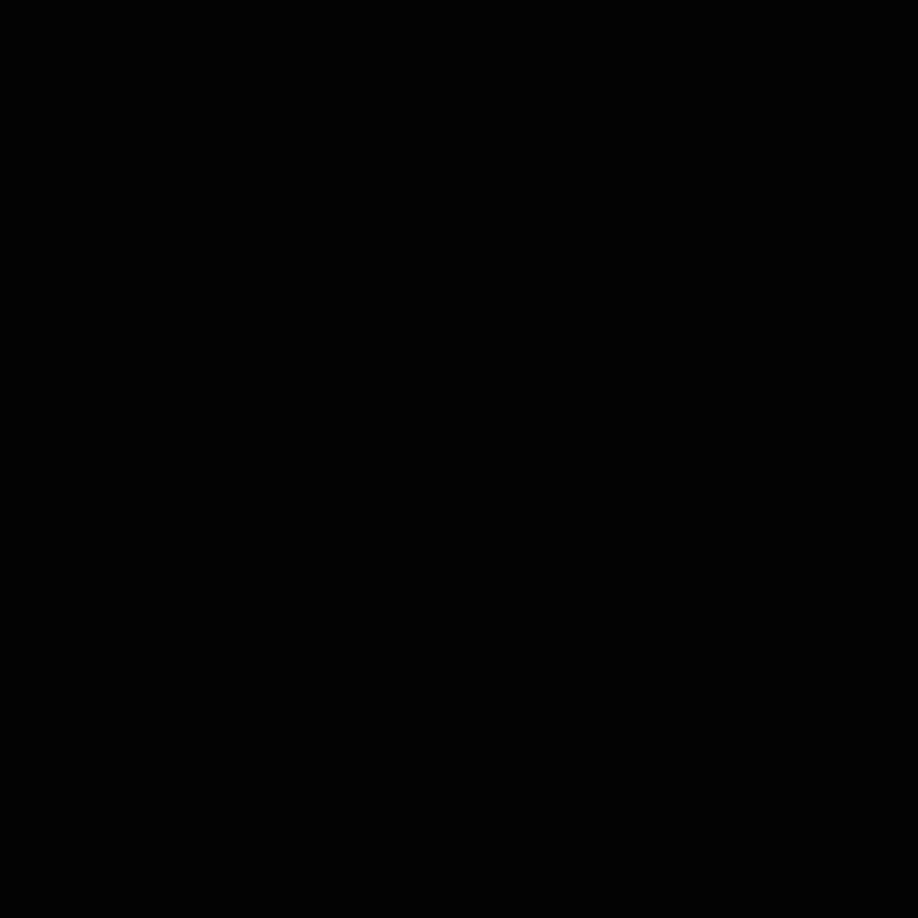 Gardinen Strass Arsvita, Raffhalter, Schwarz Raffhalter, Kunststoff Raffhalter, Holz, (1-tlg), Dekospange, - mit