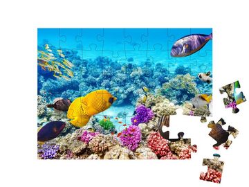 puzzleYOU Puzzle Wunderbare Unterwasserwelt mit tropischen Fischen, 48 Puzzleteile, puzzleYOU-Kollektionen Unterwasser