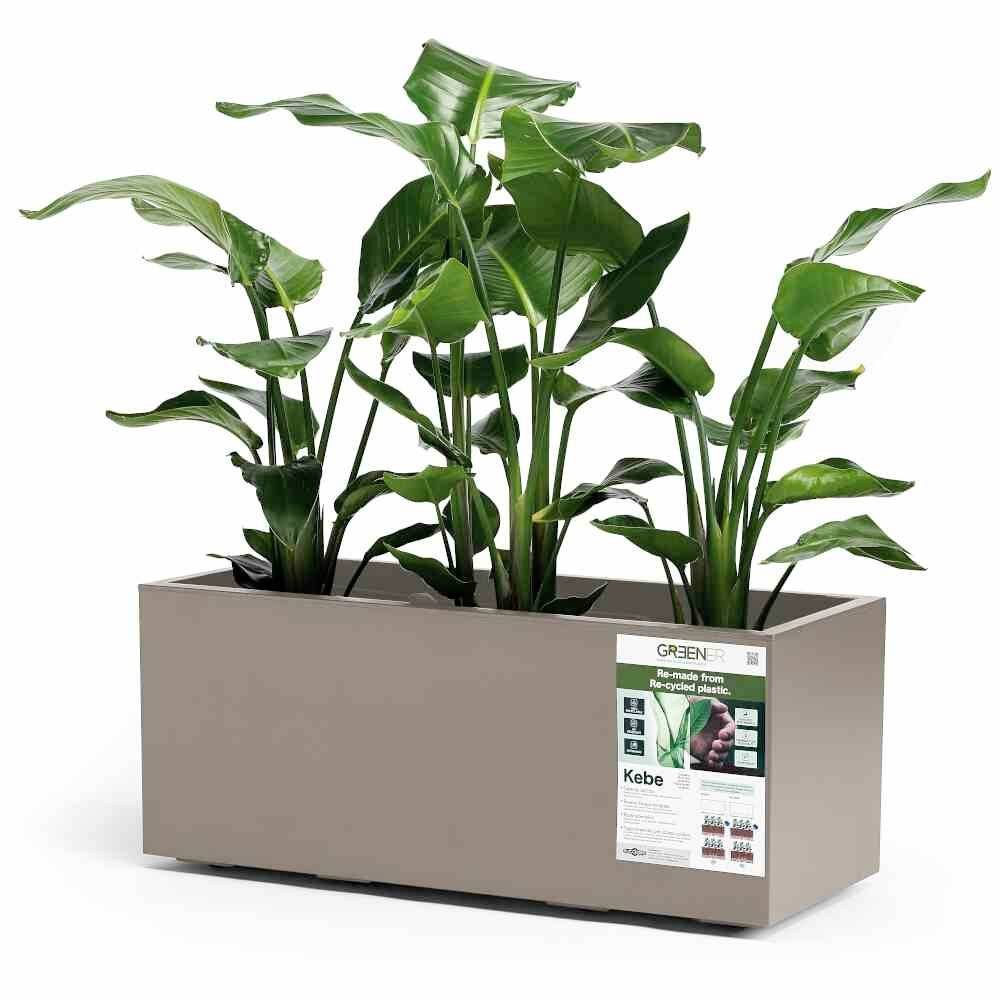 euro3plast Pflanzkübel 3154.G9