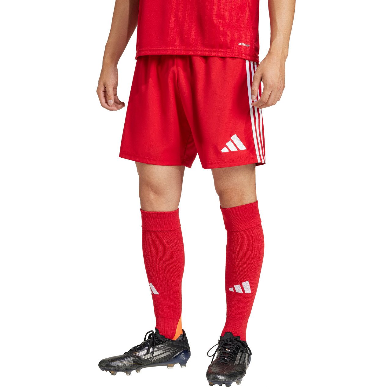 adidas Performance Trainingsshorts Tastigo 25