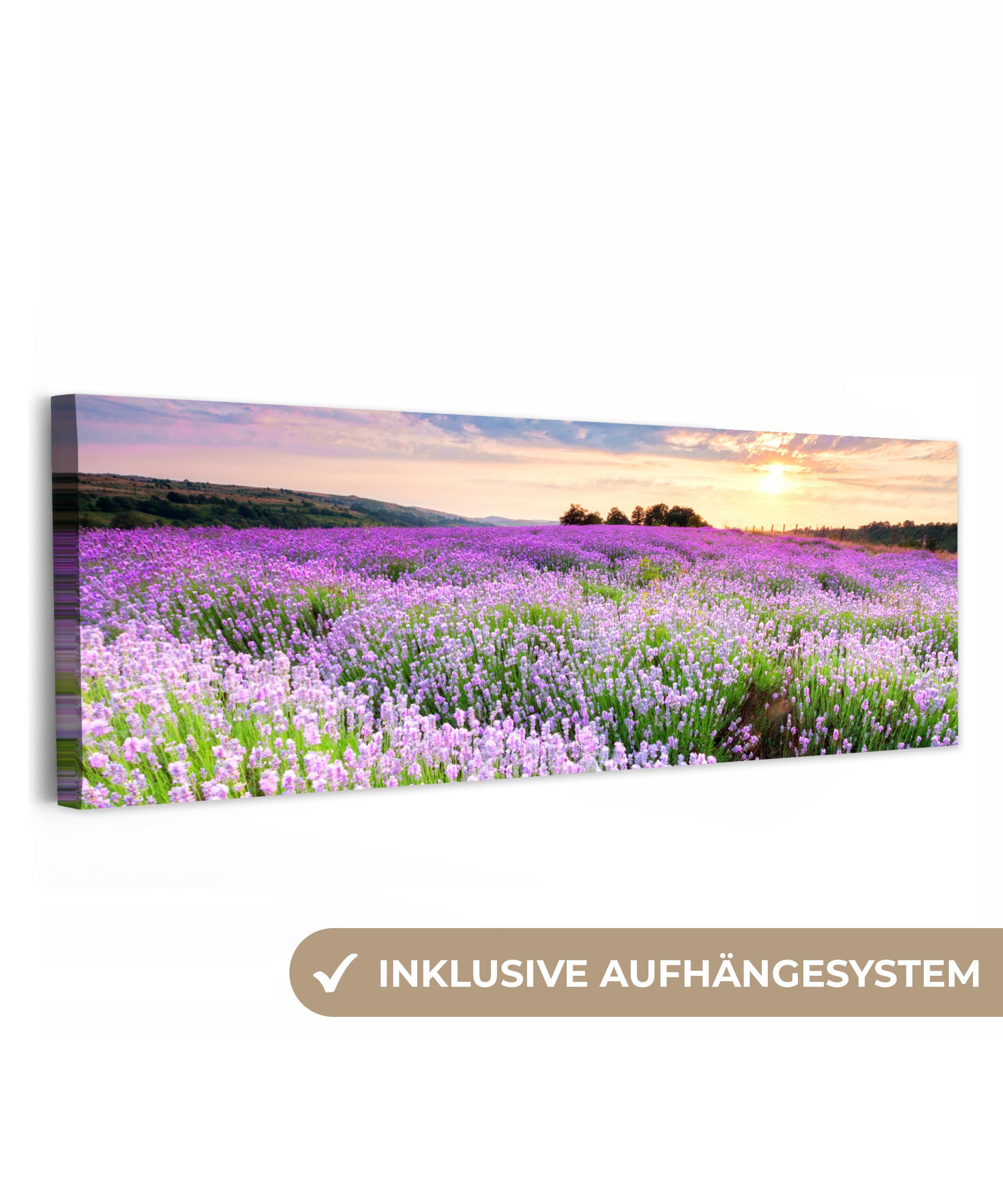 OneMillionCanvasses® Leinwandbild Panorama Blumen - Lavendel - Lila - Himmel - Sonnenuntergang - Wiese -, Fotodruck (1 St), Wandbild, Deko Schlafzimmer Wohnzimmer Flur 60x20 cm
