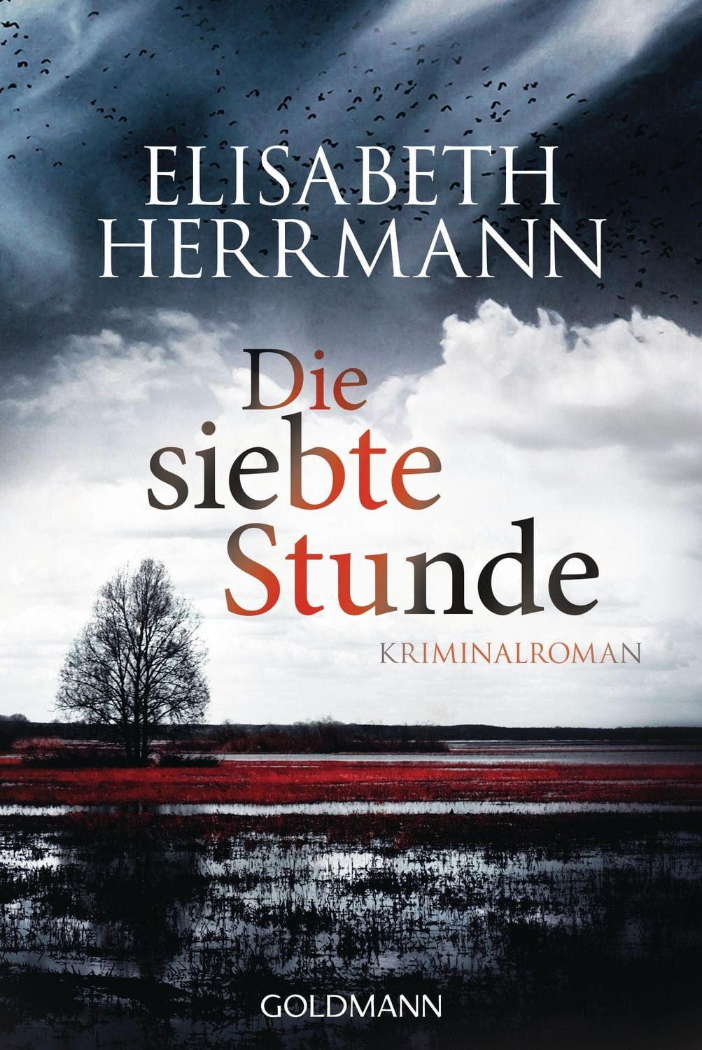 Die siebte Stunde / Joachim Vernau Band 2 / Elisabeth Herrmann