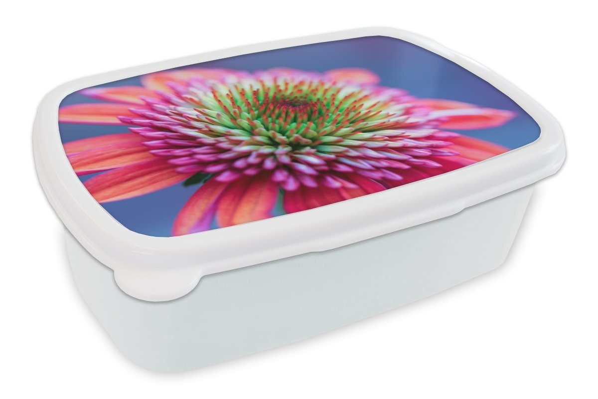 MuchoWow Lunchbox Blumen - Rosa - Hell, Kunststoff, (2-tlg), Brotbox für Kinder und Erwachsene, Brotdose, für Jungs und Mädchen weiß