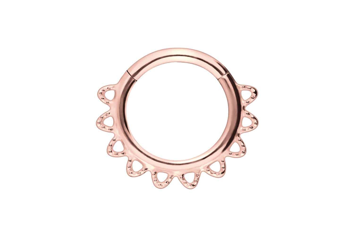 Nasenpiercing Chirurgenstahl Segmentring Clicker SPITZEN Ohrpiercing Septum Nase