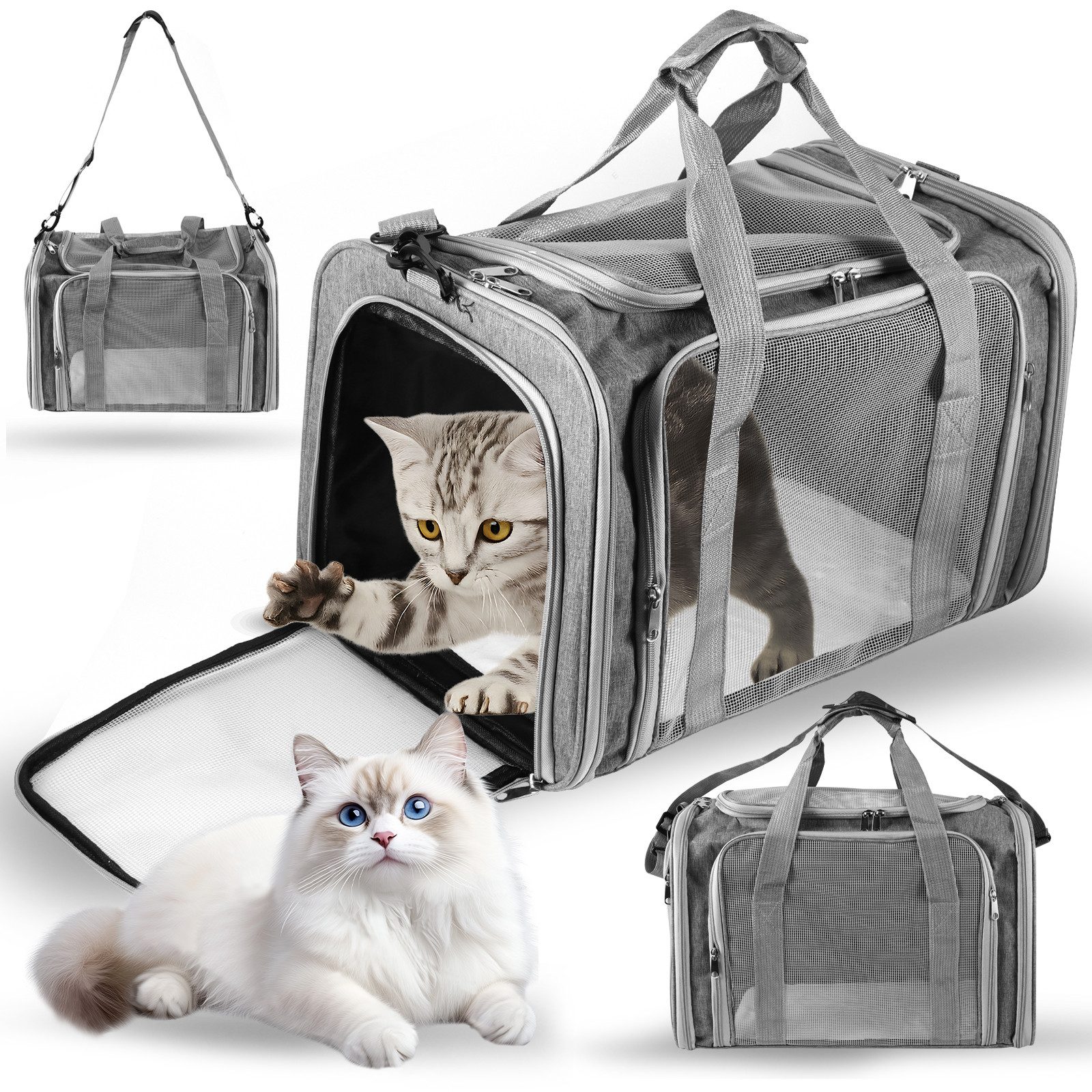 BlingBin Tiertransporttasche Transporttasche für Katze Hund, Faltbare Hundebox Katzentransportbox bis 18 kg, Hundetransporter für Mittel Kleine Hund Katze Haustiere im Flugzeug