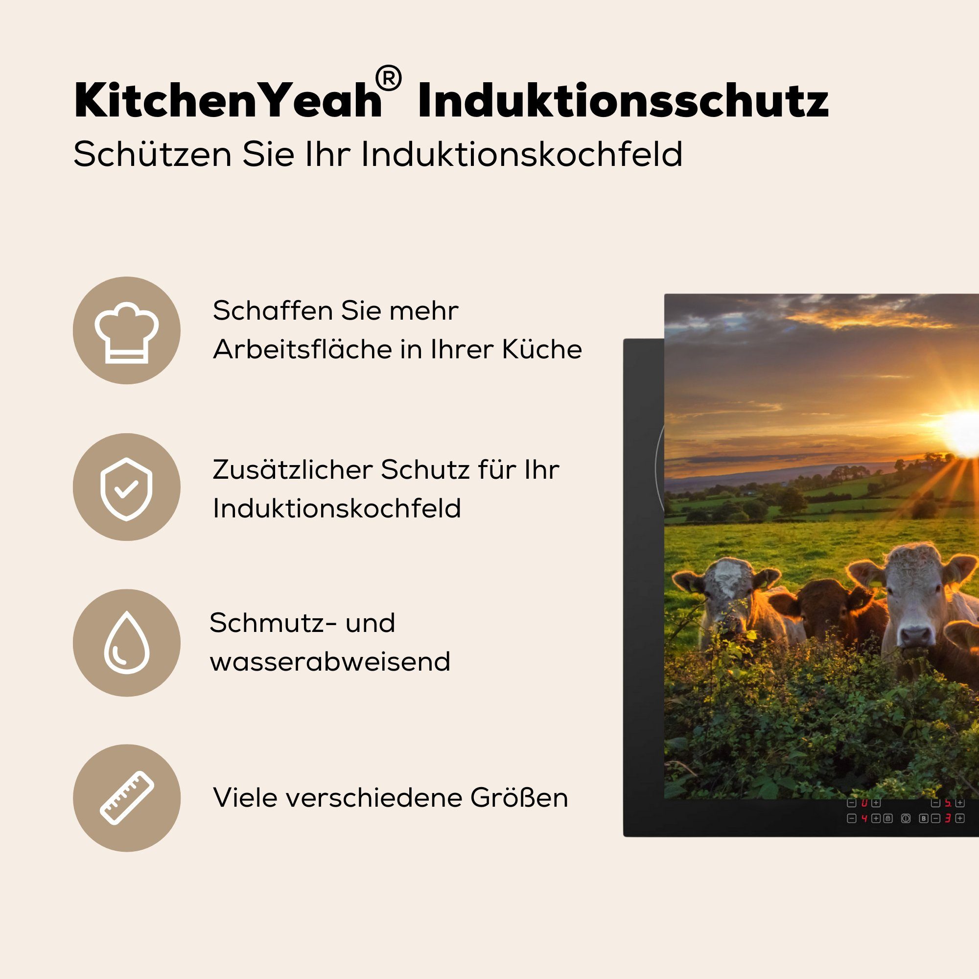 Sonne Ceranfeldabdeckung - Kuh Vinyl, MuchoWow cm, Induktionskochfeld Gras, küche, die Herdblende-/Abdeckplatte Schutz 81x52 - tlg), (1 für