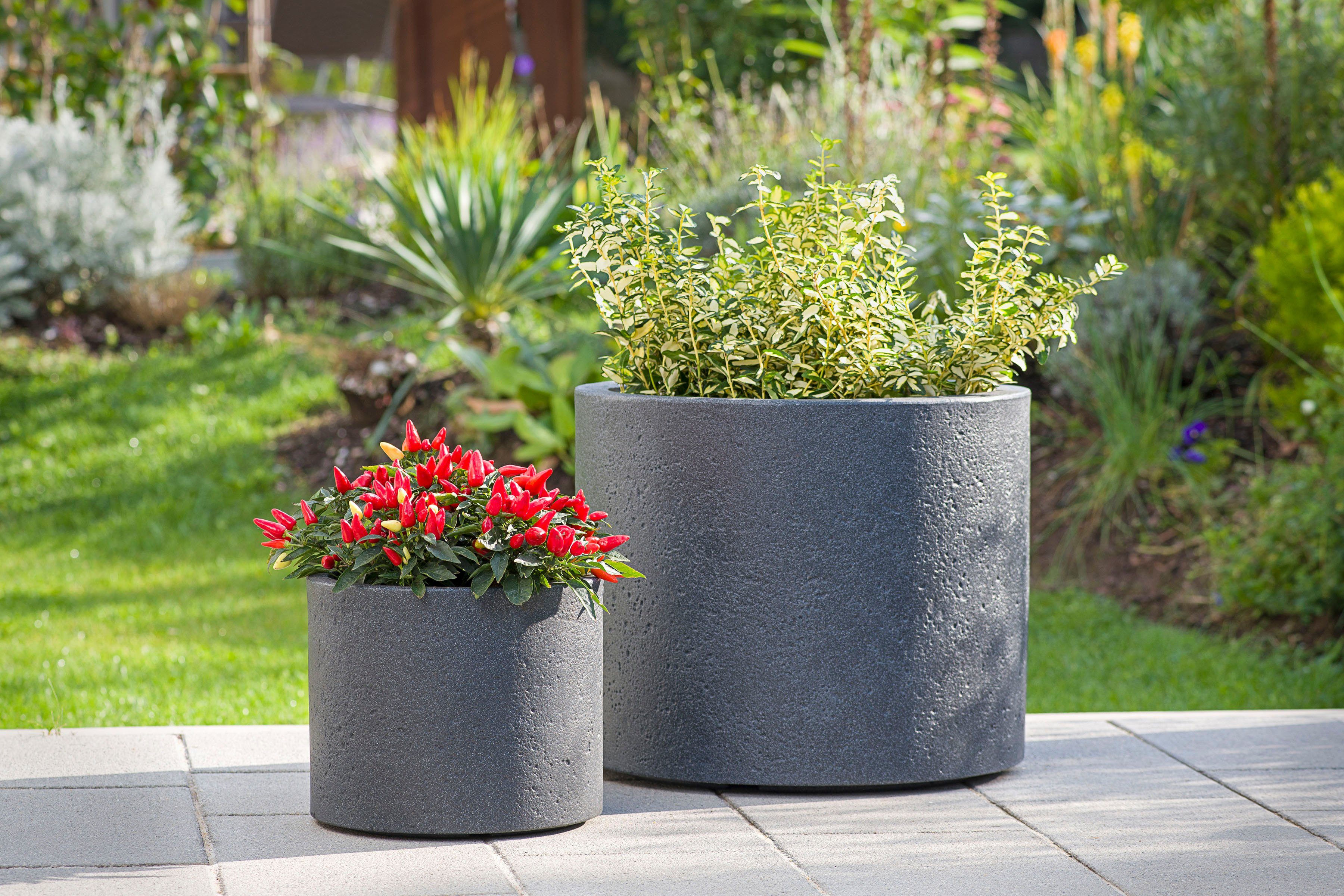 Scheurich Blumentopf 30/130 PANZANO günstig online kaufen