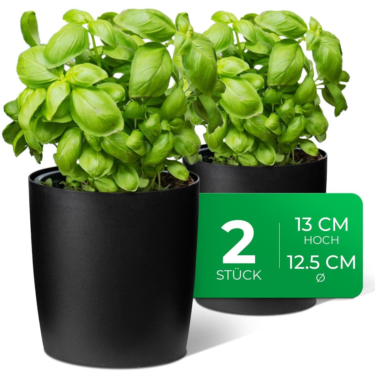 Novaliv Kräutertopf - (2 St), 2x günstig online kaufen