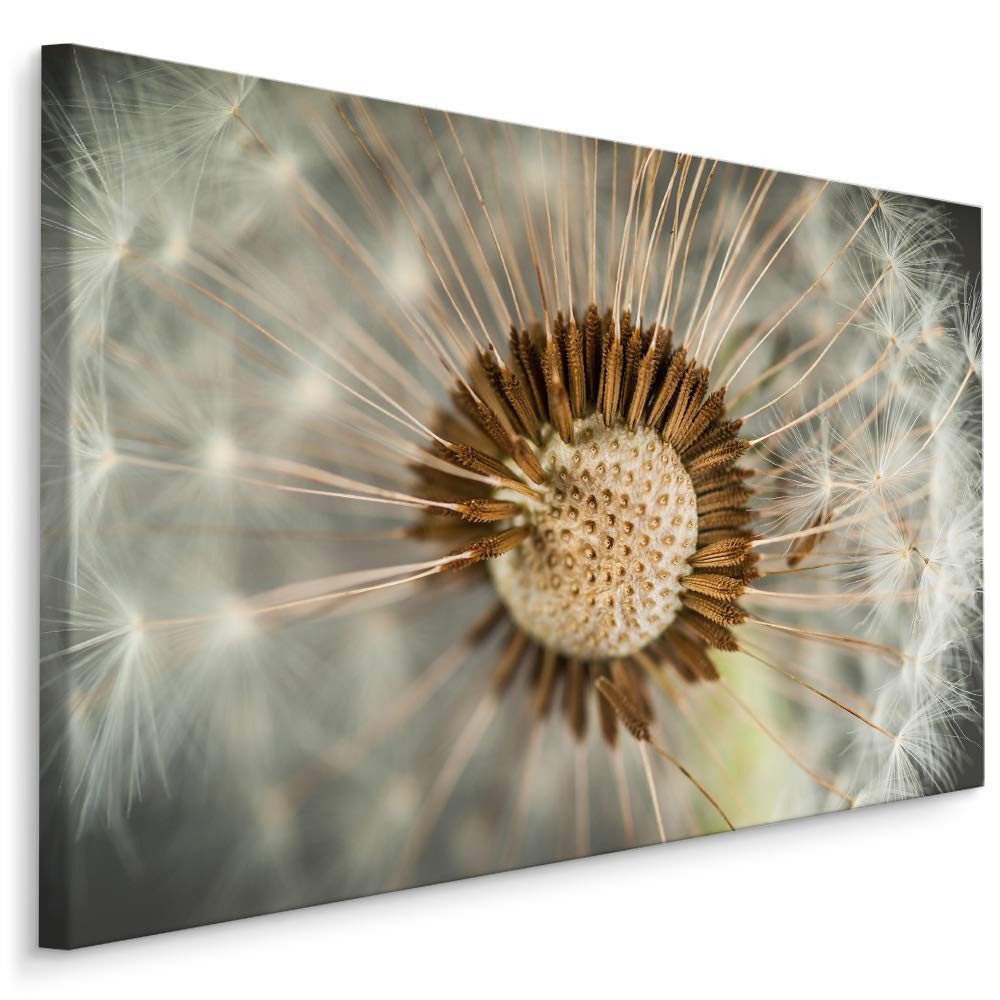 Muralo Leinwandbild Landschaft – Leinwandbild Wandbild Kunstdruck Wohnzimmer, Gewässer (1 St), Blumen – Pusteblumen – Löwenzahn, 30 x 20 cm, aufhängefertig