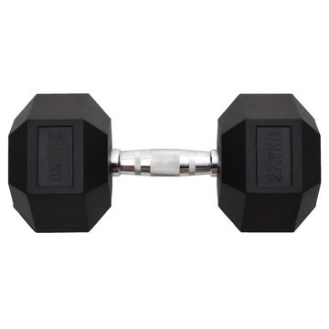 vidaXL Hantel Kurzhantel 27,5 kg Gusseisen Fitness Training Gewicht Kraftsporr