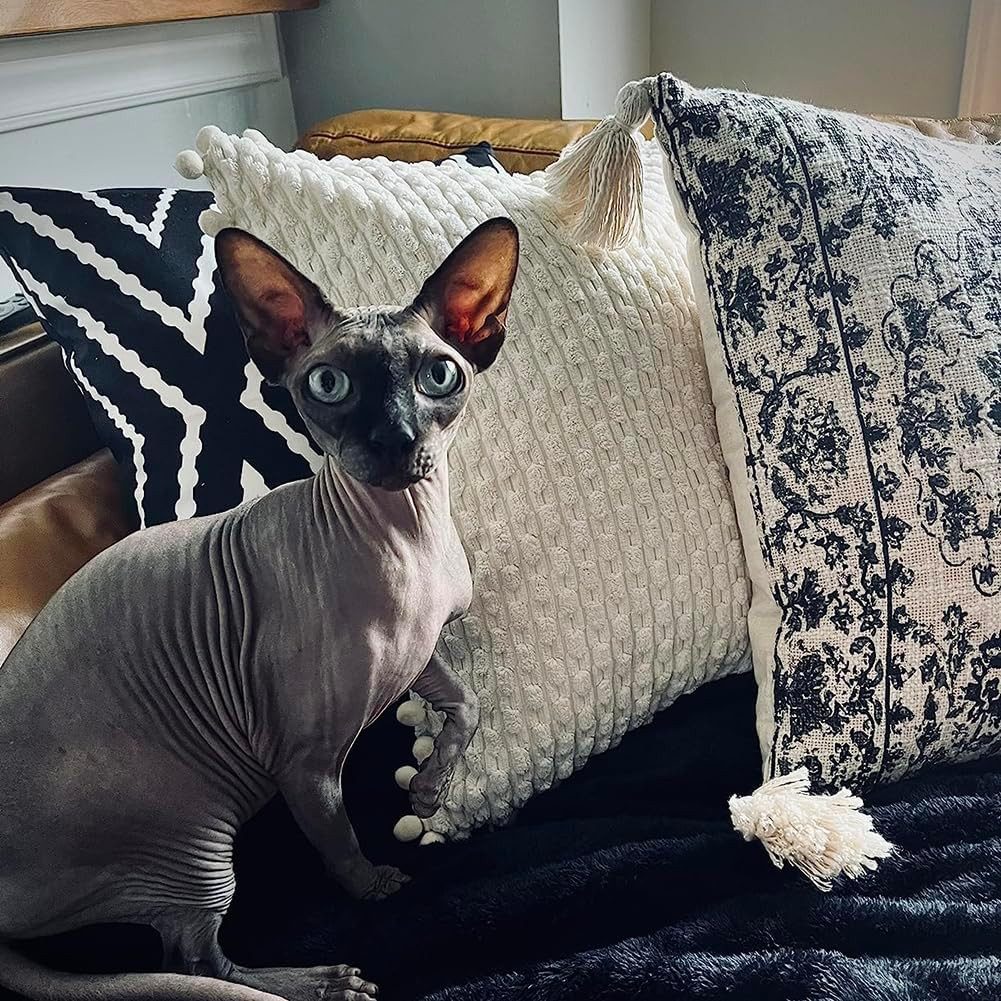 Coonoor Kissenbezüge Sofa Kissenbezug,mit Pompons, (2 Stück), für Weihnacht günstig online kaufen