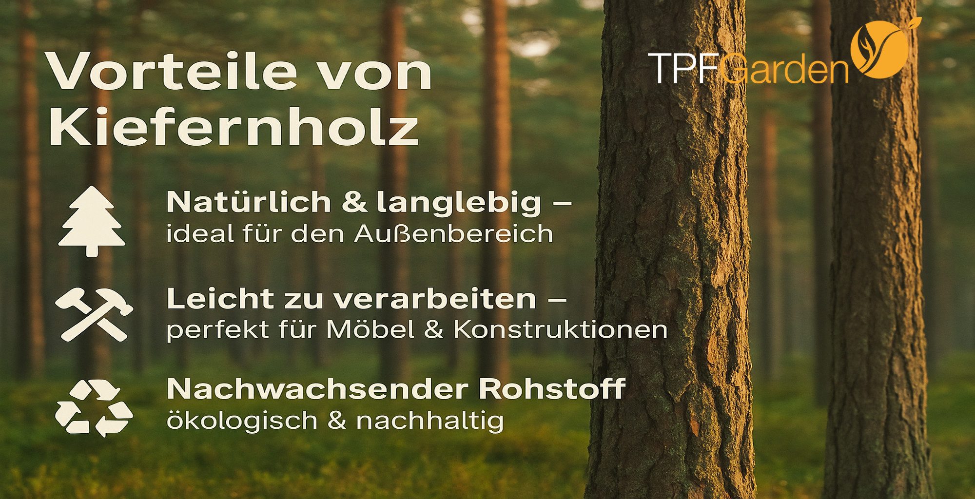 TPFGarden Barhocker MENTO (Outdoorhocker aus Kiefernholz, Maße: 40x40x72cm)