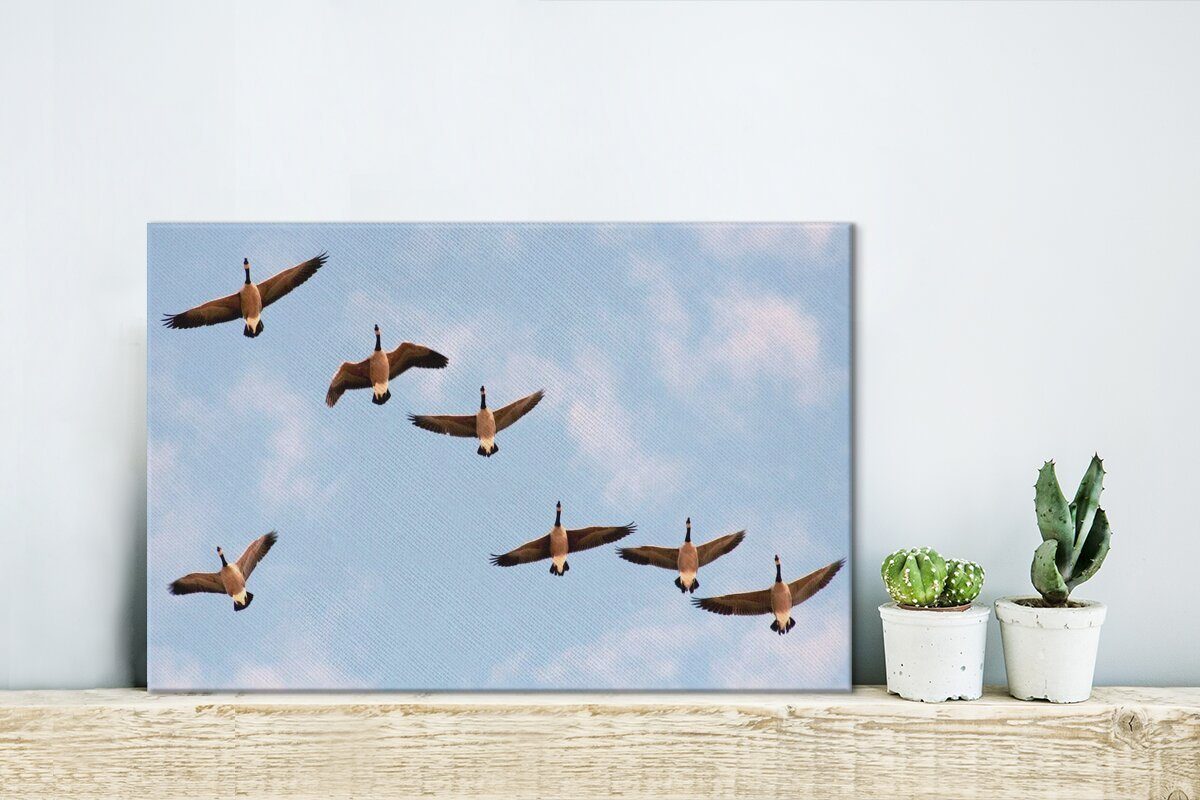 Leinwandbild Vögel, cm Leinwandbilder, Himmel 30x20 OneMillionCanvasses® (1 - St), Aufhängefertig, Wanddeko, Kanadagänse Wandbild -