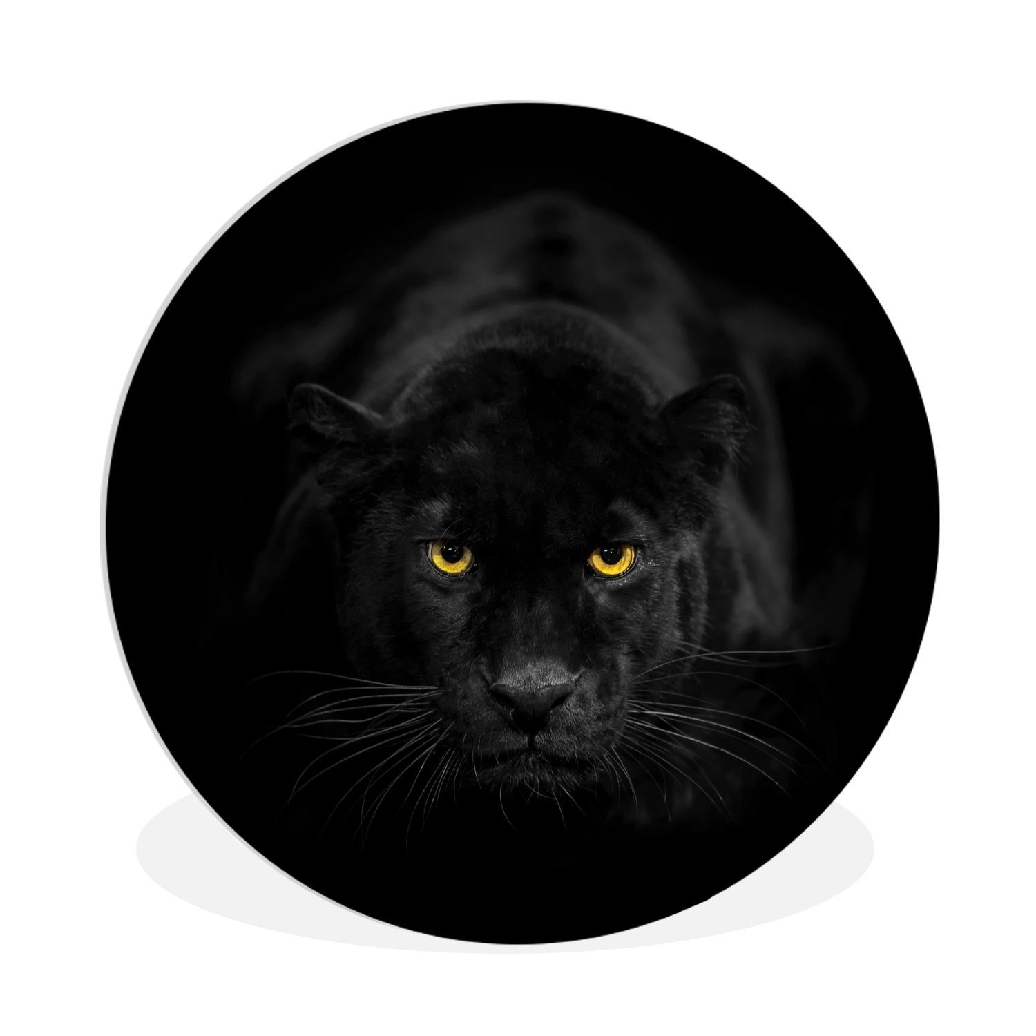 MuchoWow Gemälde Panther - Tiere - Schwarz - Augen, Panther (1 St), Kreis Wanddekoration Forex, Rundes Wandbild, Wohnzimmer, 30x30 cm