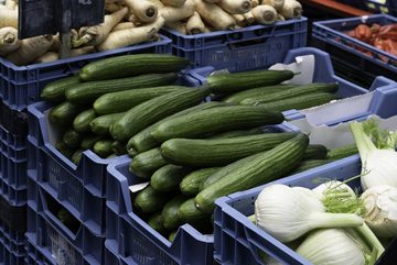 HaGa Kiste Lagerkiste 59x39,5x11 cm Obst- und Gemüsekasten stapelbar 10kg in grün