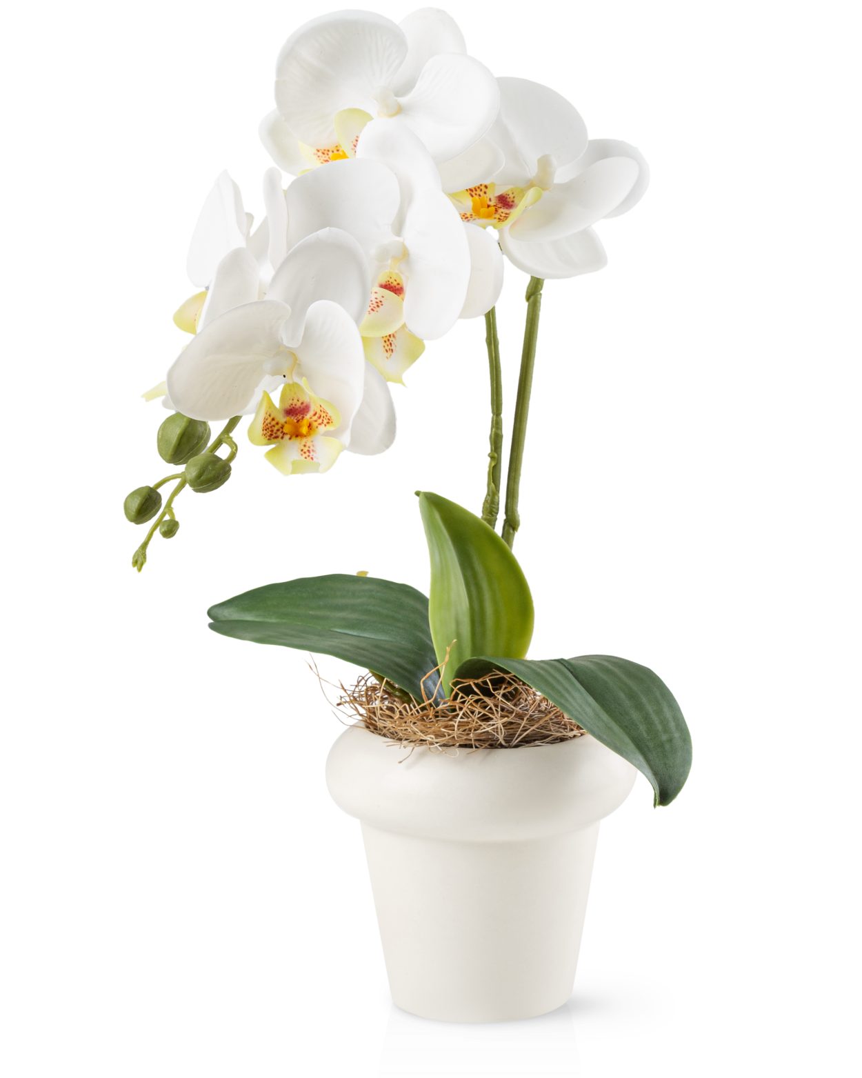 Kunstblume Kunstblumen im Topf, Künstliche Blumen wie echt, Deko Blumen Geranie, Kamelie, Orchidee, Azalee, Veilchen, PASCH, Hochwertiger Keramiktopf