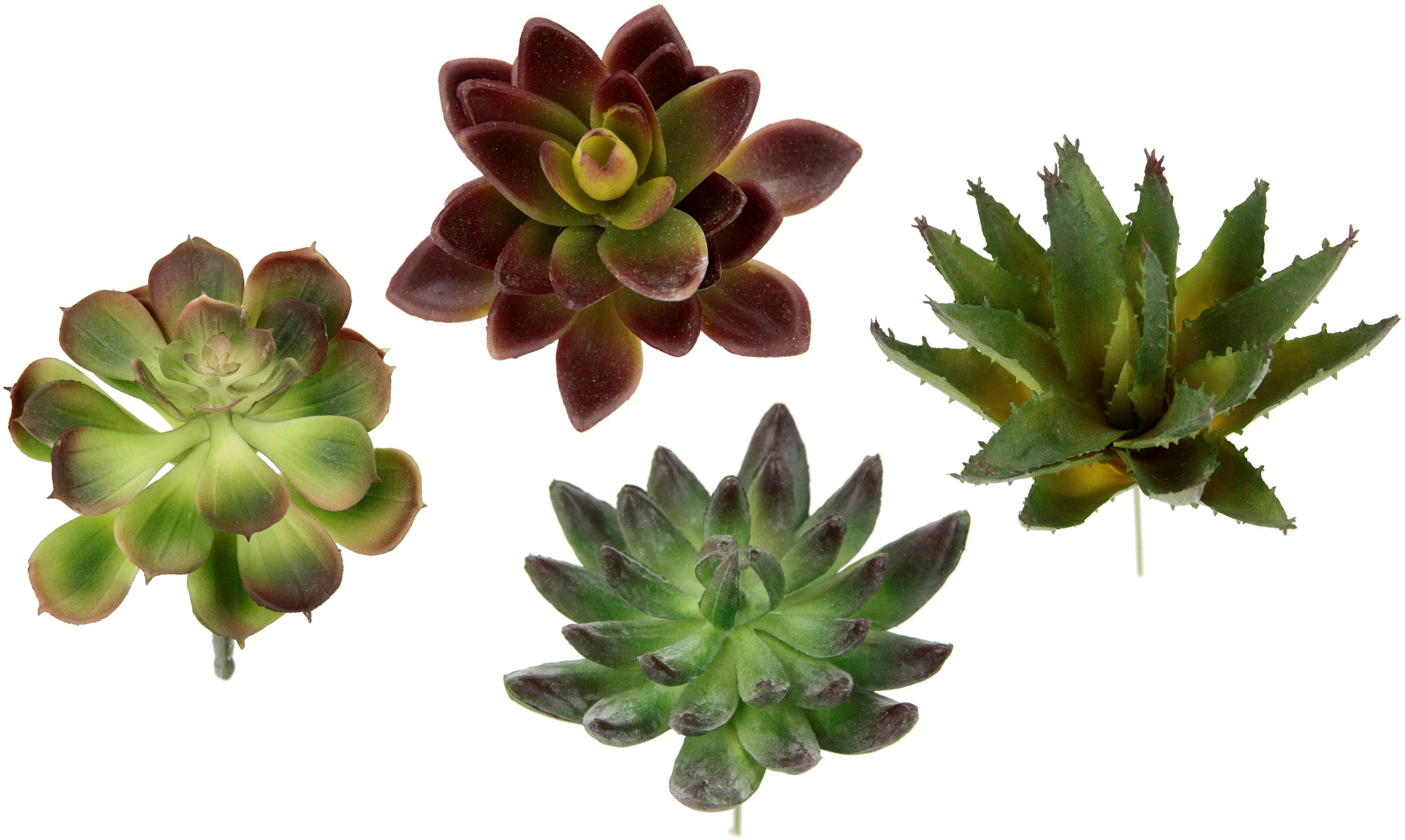 Sukkulenten, 4er Höhe cm, Dekorative Aloe, Pflanzen, I.GE.A., 16 künstliche Kaktus Kunstpflanze Agave, Sukkulenten, Set,