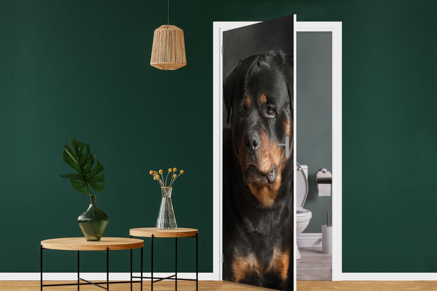 Porträt für im eines bedruckt, Matt, Rottweilers Türaufkleber, cm 75x205 Atelier, (1 Fototapete St), Türtapete MuchoWow Tür,