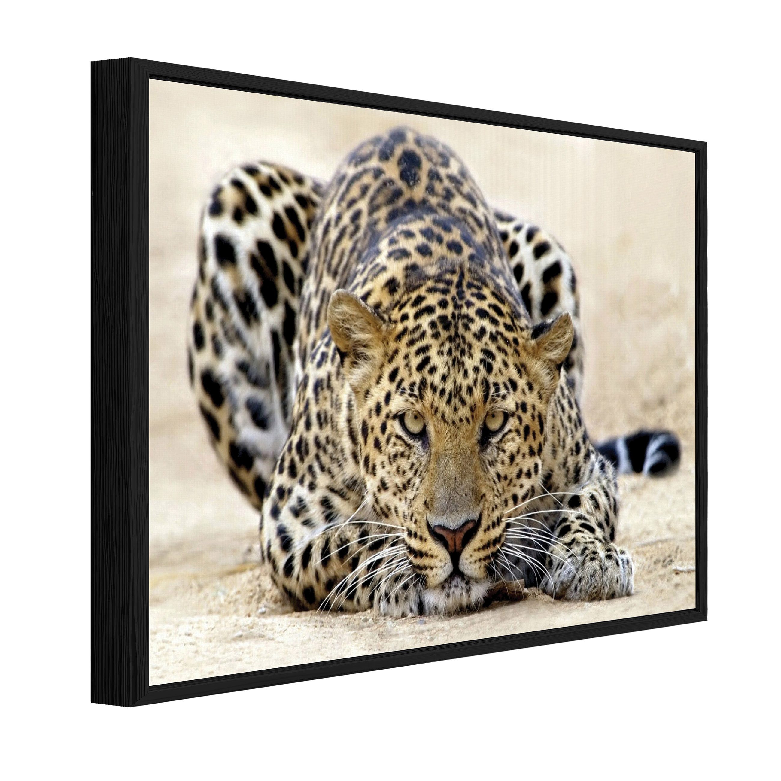 Wallarena Leinwandbild Tiger Tiere Strand Modern Wandbilder Wand Deko XXL Bilder, Tiger (groß Bilder Wohnzimmer Schlafzimmer Einteilig, 1 St), Bild mit Rahmen Wohnzimmer Schlafzimmer Küche Deko 40x30