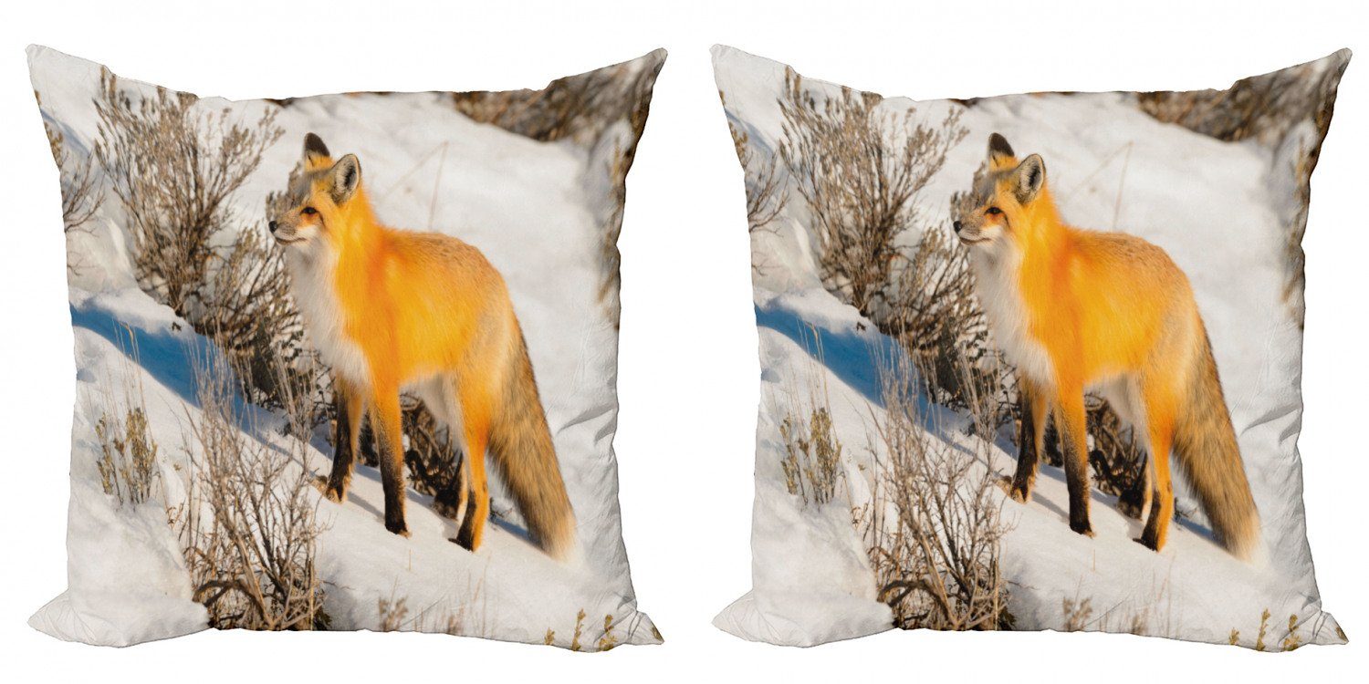 Kissenbezüge Modern Accent Doppelseitiger Digitaldruck, Abakuhaus (2 Stück), Fuchs Red Fox in Snowy Natur | Kissenbezüge