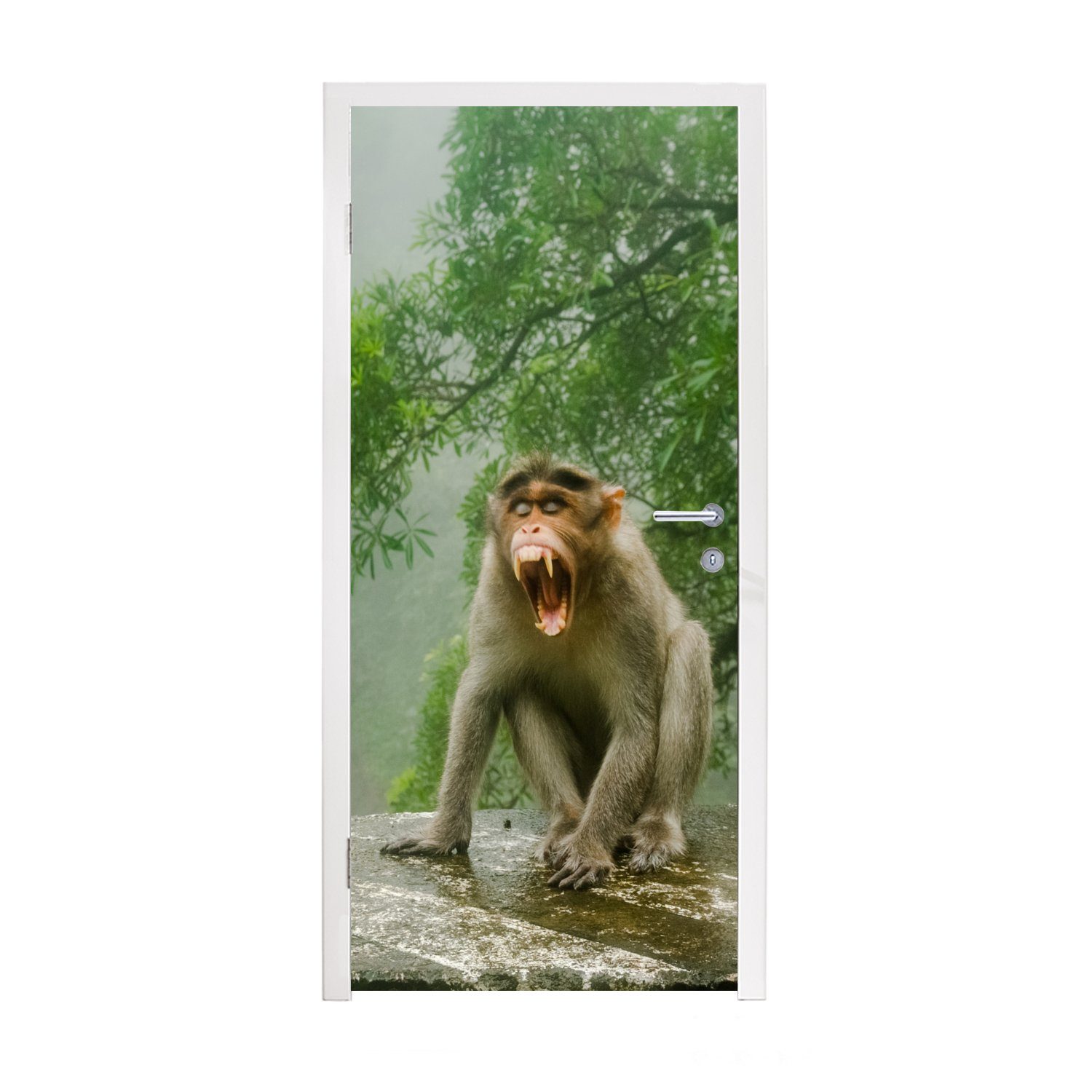 MuchoWow Türtapete Schreiender Affe vor Wasserfall, Matt, bedruckt, (1 St), Fototapete für Tür, Türaufkleber, 75x205 cm