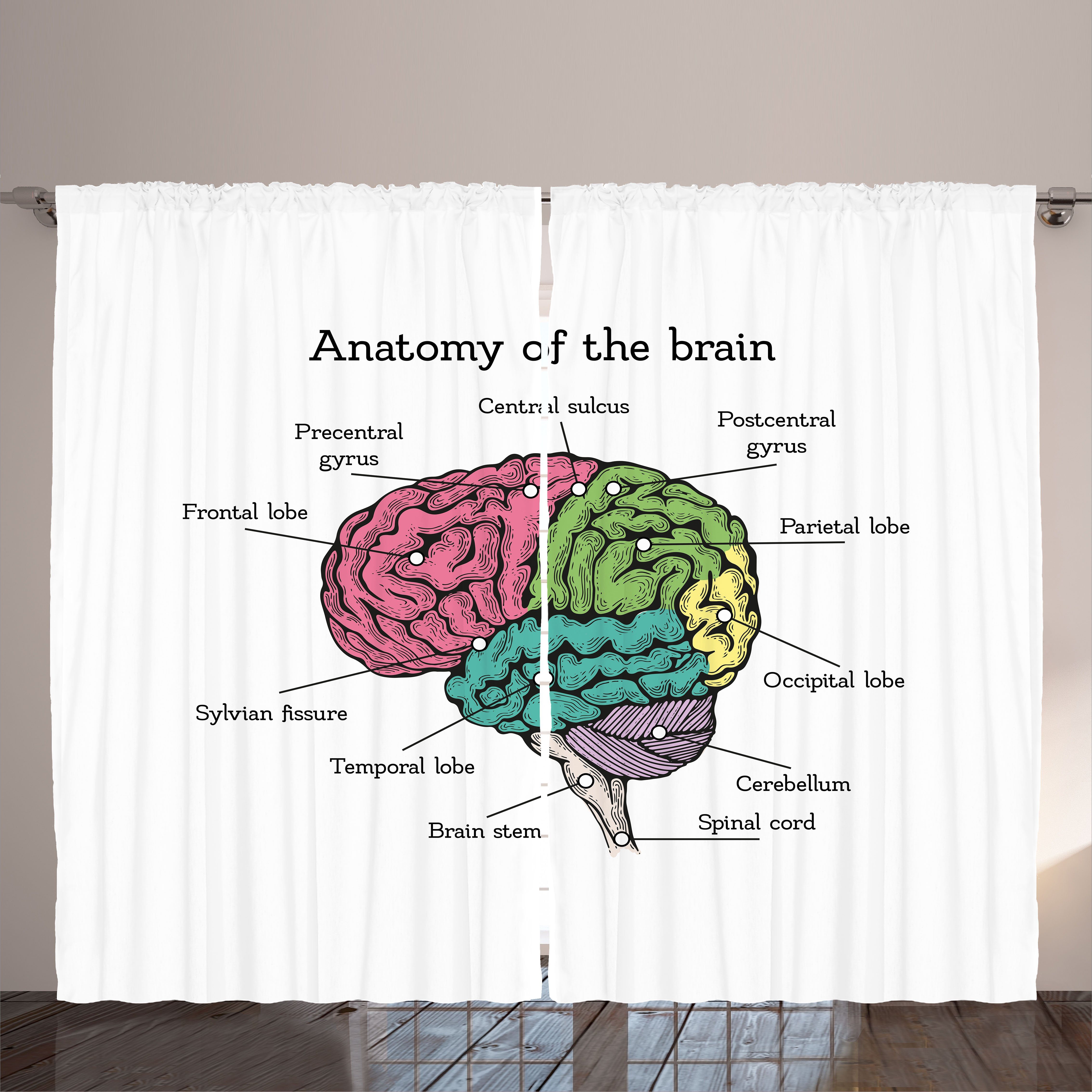 Gardine Schlafzimmer Kräuselband Vorhang mit Schlaufen und Haken, Abakuhaus, Anatomie In Der Struktur Des Gehirns Gefärbt