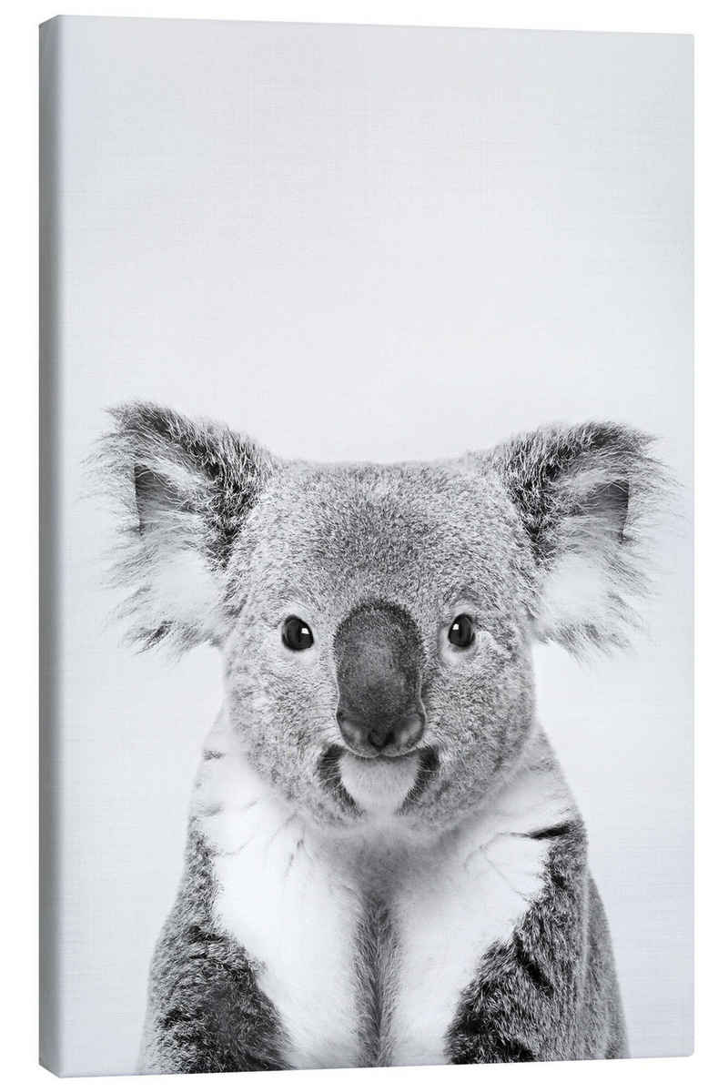 Posterlounge Leinwandbild Sisi And Seb, Freundlicher Koala, Kinderzimmer Fotografie
