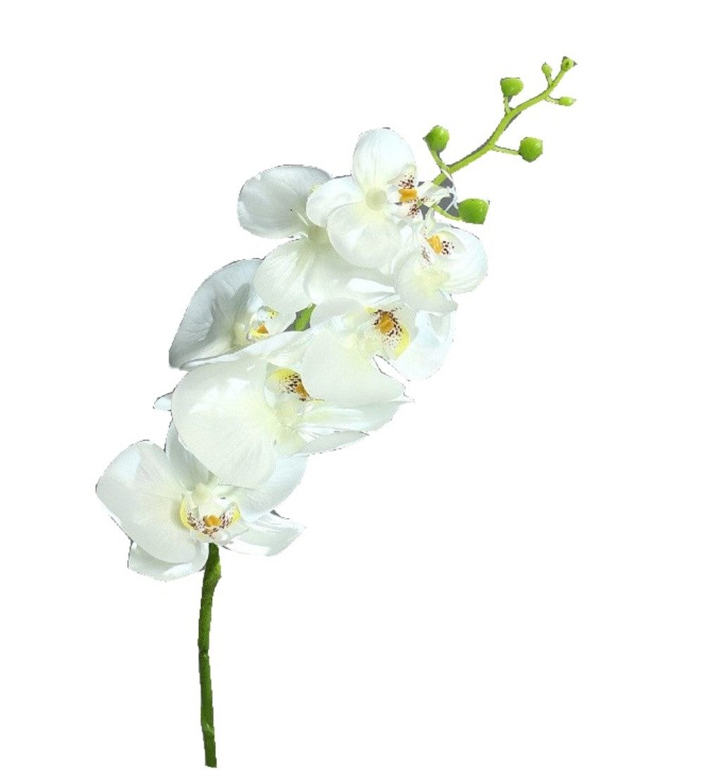 Kunstblume Orchidee Phalaenopsis mit 7 Blüten creme 83 cm Kunstblume von DPI, DPI, Höhe 83 cm