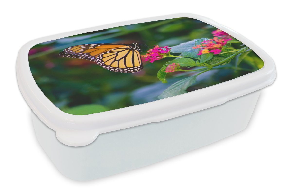 und Erwachsene, weiß Blume - Brotbox Schmetterlinge Lunchbox Kinder und Jungs Mädchen für (2-tlg), Natur, MuchoWow Kunststoff, - für Brotdose,