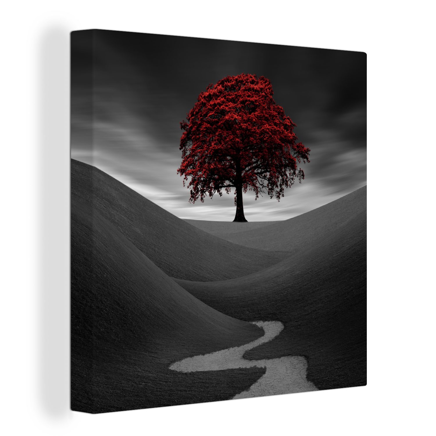 OneMillionCanvasses® Leinwandbild Schwarz-Weiß-Foto mit einem roten Baum, (1 St), Leinwand Bilder für Wohnzimmer Schlafzimmer