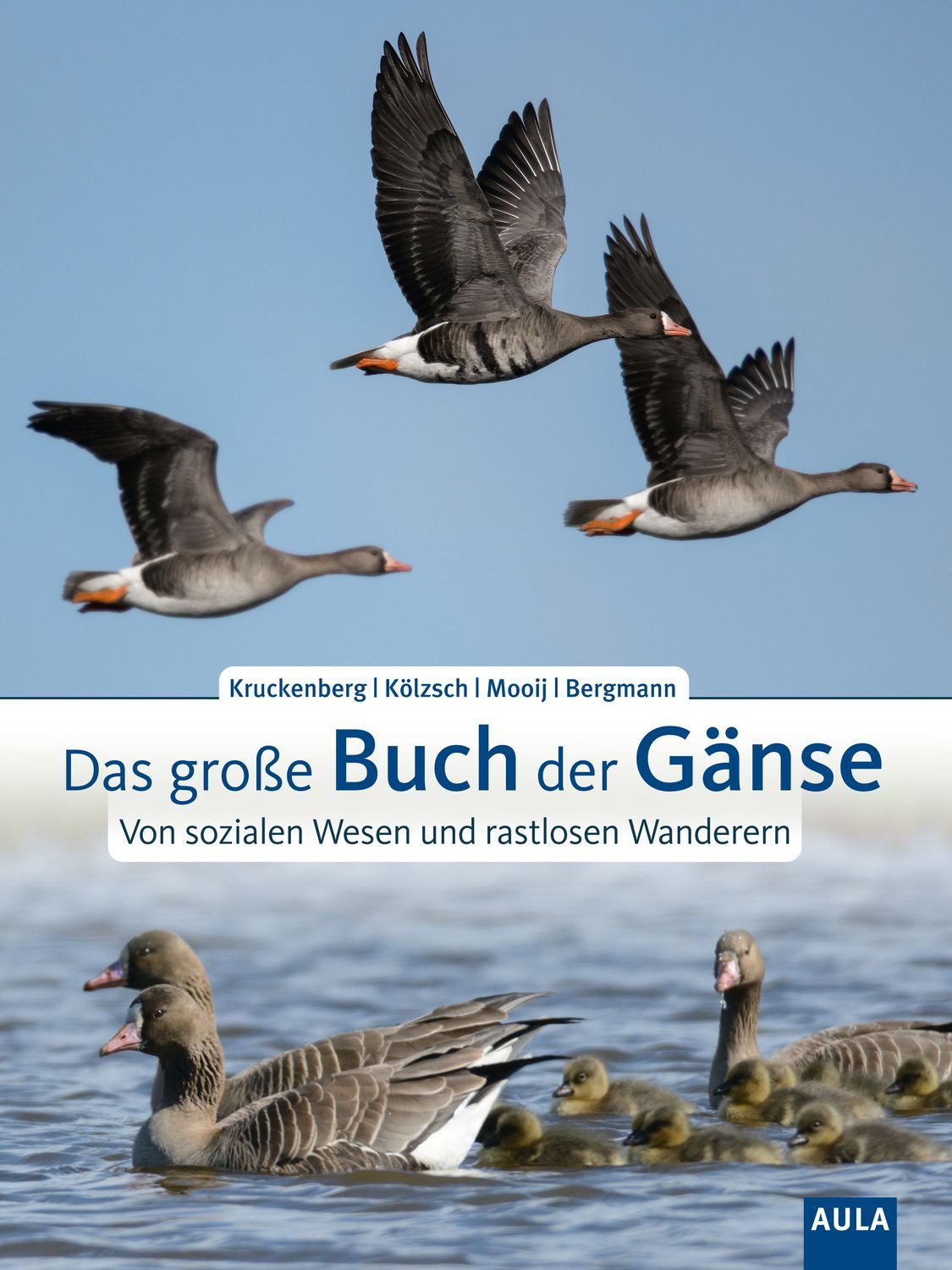 Das große Buch der Gänse / Helmut Kruckenberg, Andrea Kölzsch, Johan Mooij, Hans-Heiner Bergmann, Von sozialen Wesen und rastlosen Wanderern