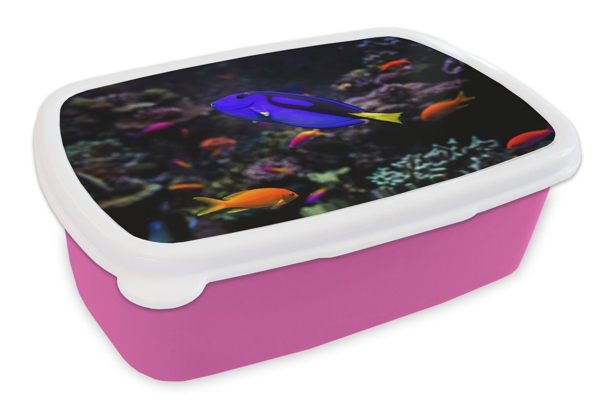 MuchoWow Lunchbox Ein Picasso-Doktorfisch in einem Aquarium, Kunststoff, (2-tlg), Brotbox für Erwachsene, Brotdose Kinder, Snackbox, Mädchen, Kunststoff rosa