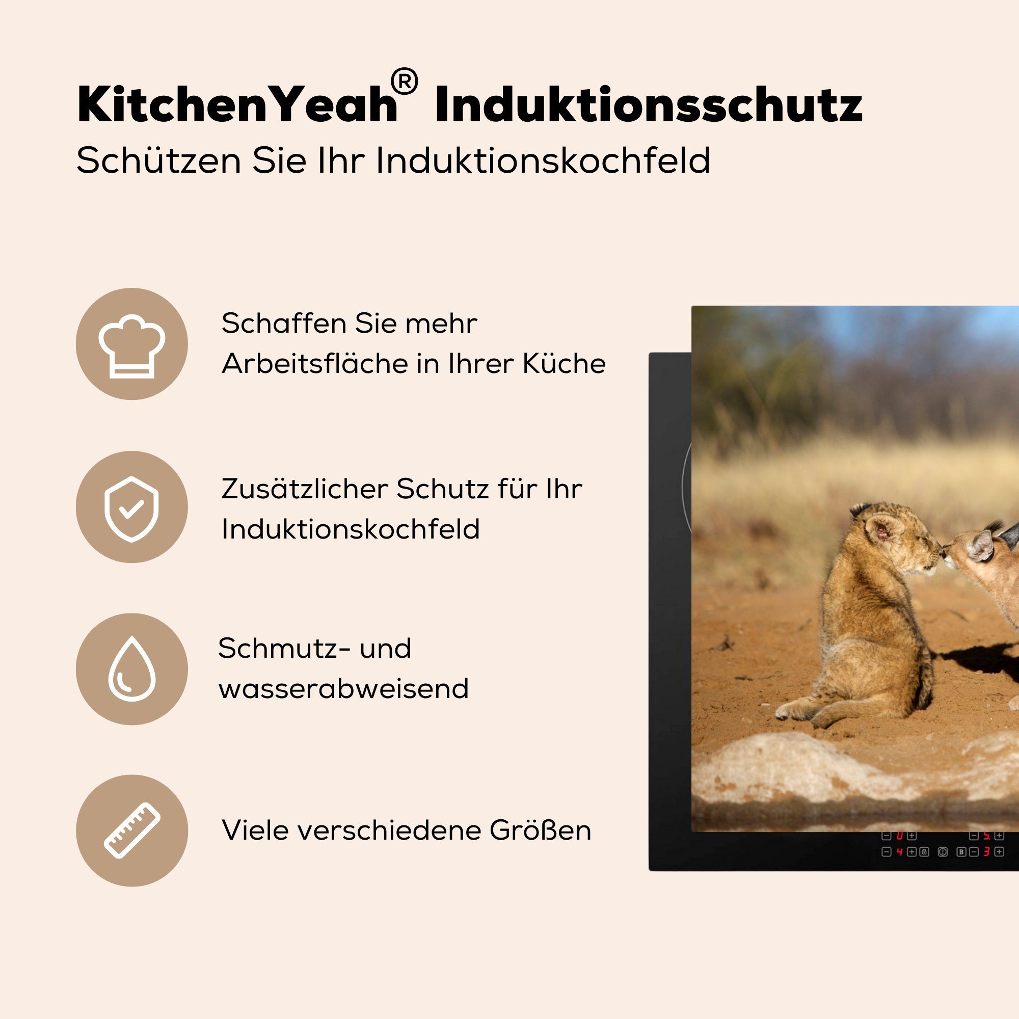 Vinyl, - Afrika, cm, Ceranfeldabdeckung tlg), - Induktionskochfeld die Herdblende-/Abdeckplatte Tiere 81x52 Schutz Löwe küche, MuchoWow (1 für
