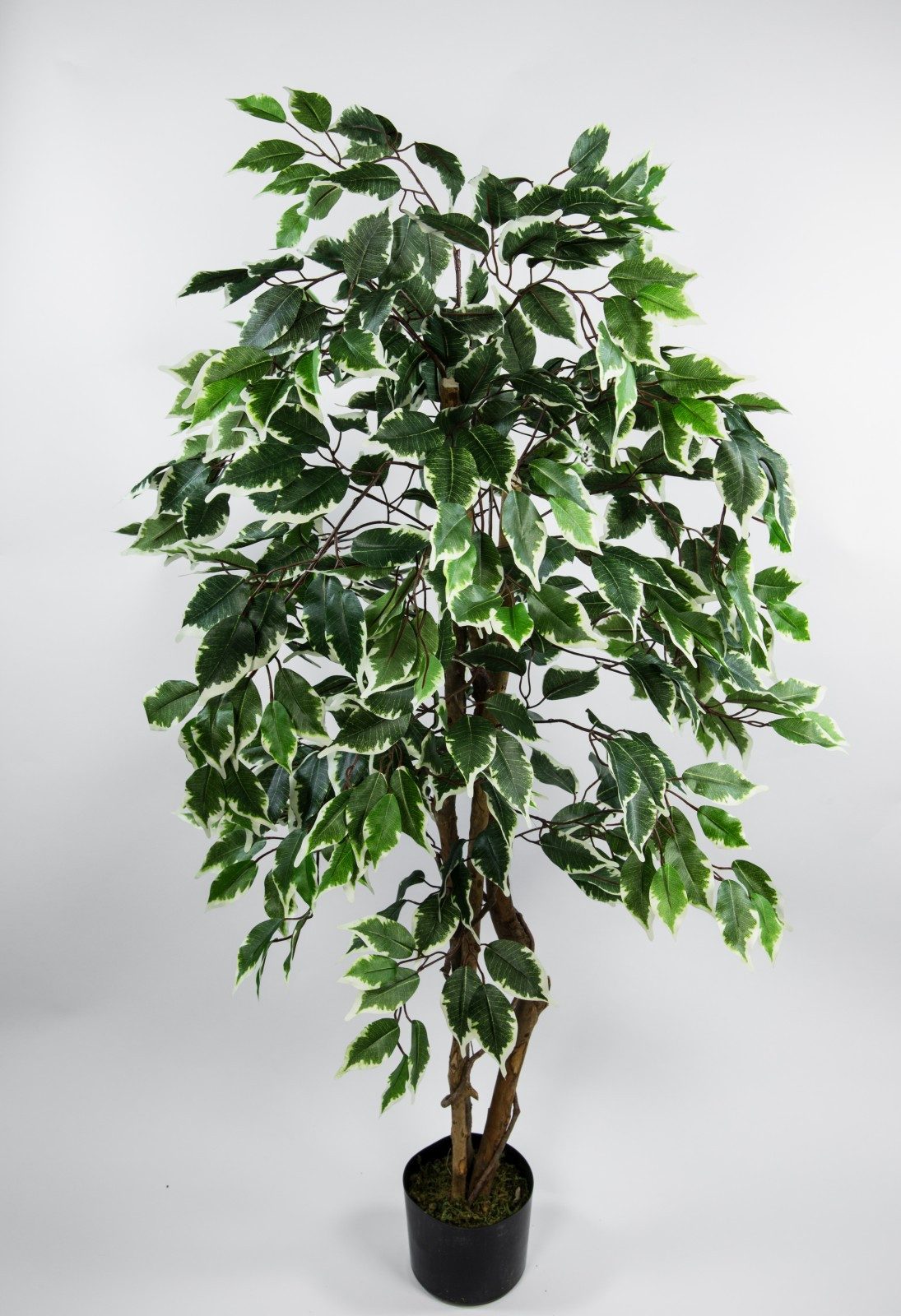 Kunstbaum Ficus Excotica 120cm DA Kunstbaum Baum Kunstpflanzen künstliche B günstig online kaufen