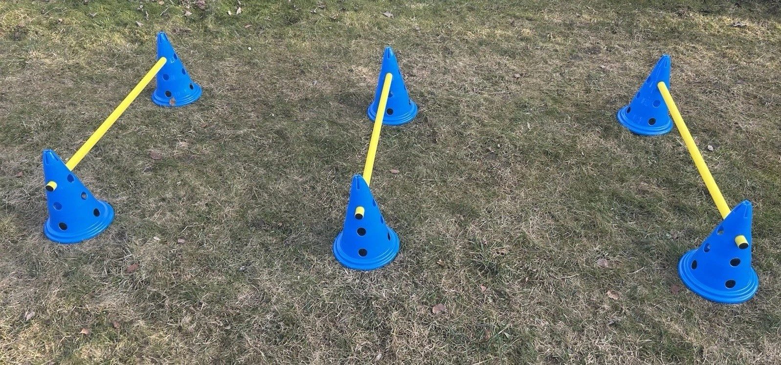 Navaris Agility-Hürde Hundetraining Hürden Set Agility Set kleine/große Hunde Steckhürden, Kunststoff