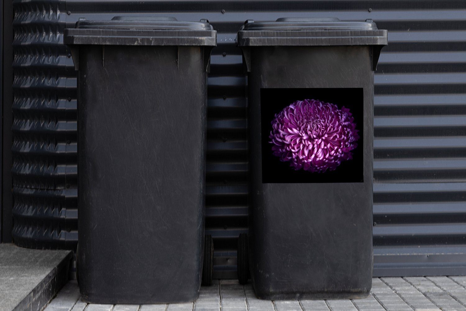 Sticker, Mülleimer-aufkleber, einer Blume Mülltonne, Abfalbehälter MuchoWow schwarzem Blätter (1 Die lila Container, auf Hintergrund Wandsticker St),