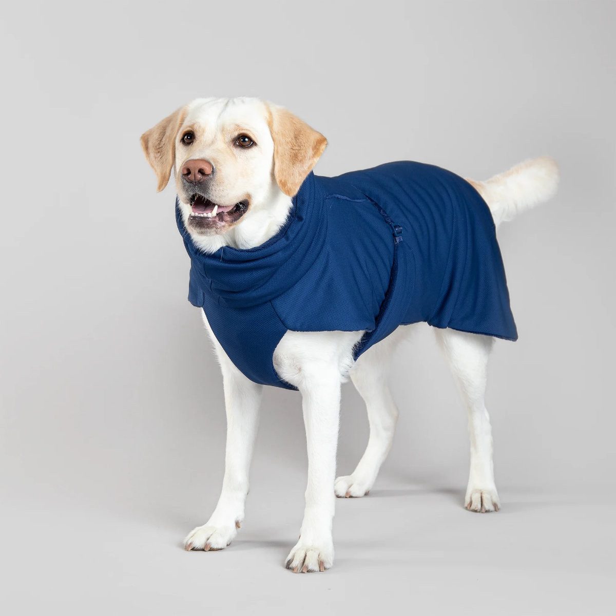 PAIKKA Hundebademantel Hunde Bademantel "Drying Coat Spa navy