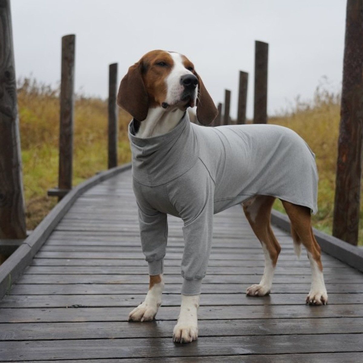 PAIKKA Hundeshirt Hunde Shirt leicht & wärmend "Recovery shirt"